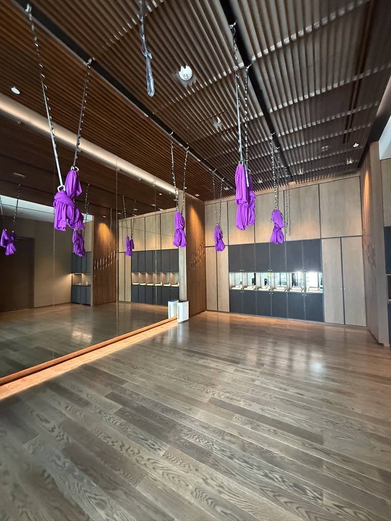 An aerial yoga studio, purple silks hanging from a timber ceiling