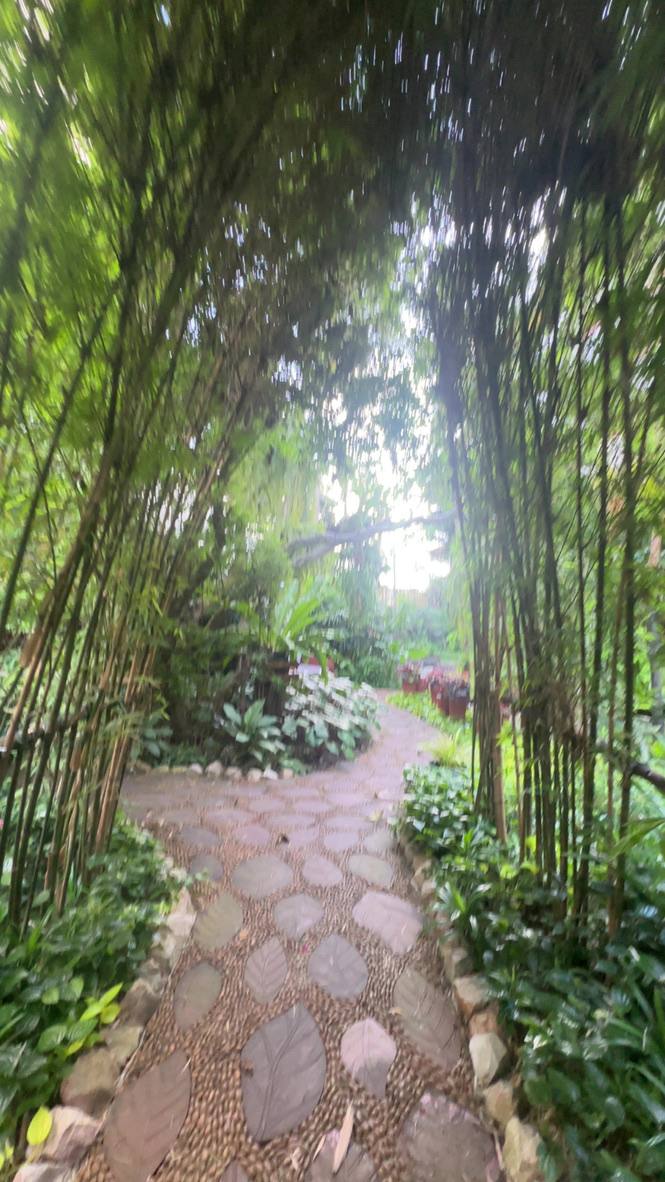 A garden path inside a Bangkok hotel