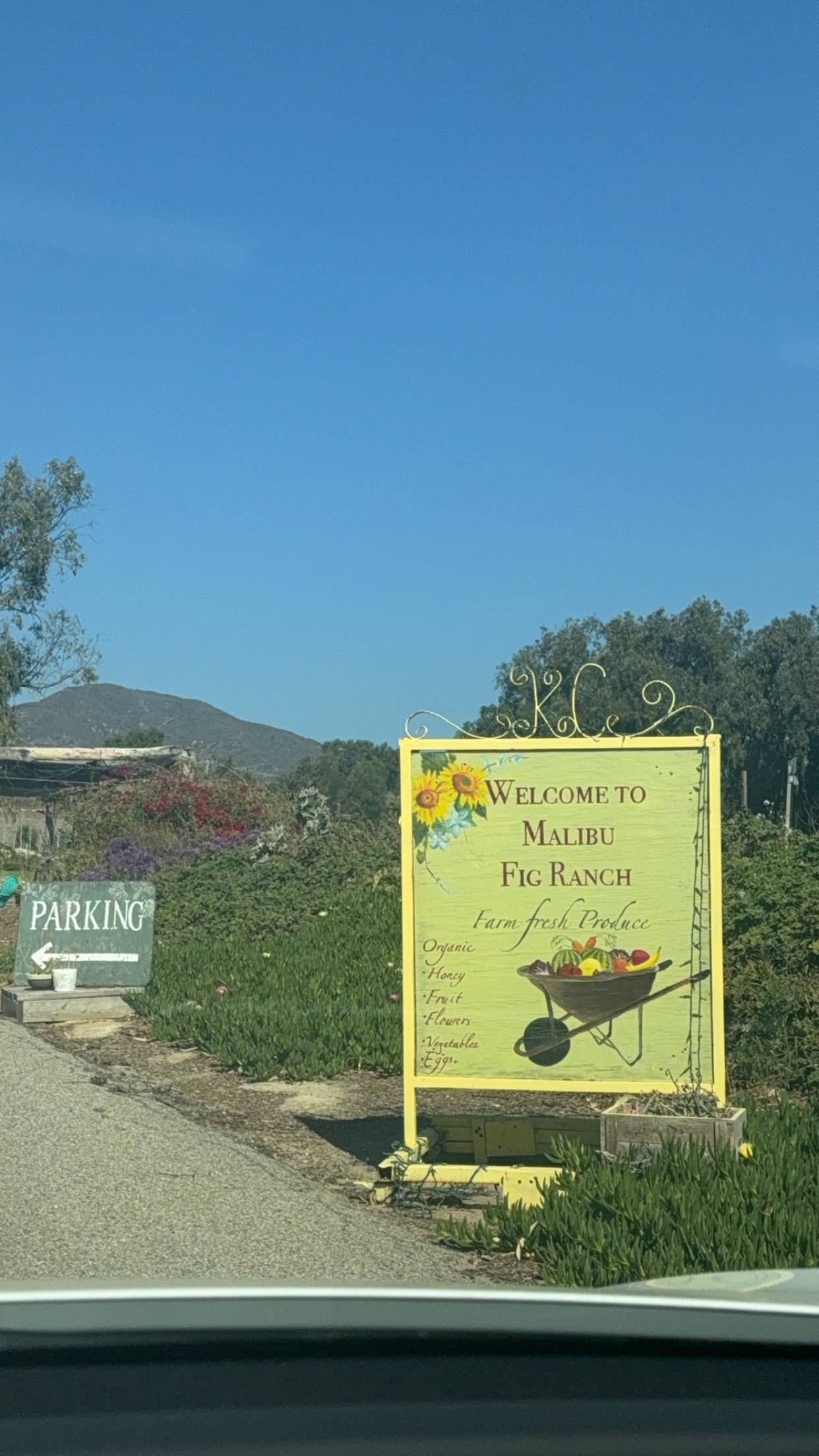 The sign at the entrance to a fig ranch