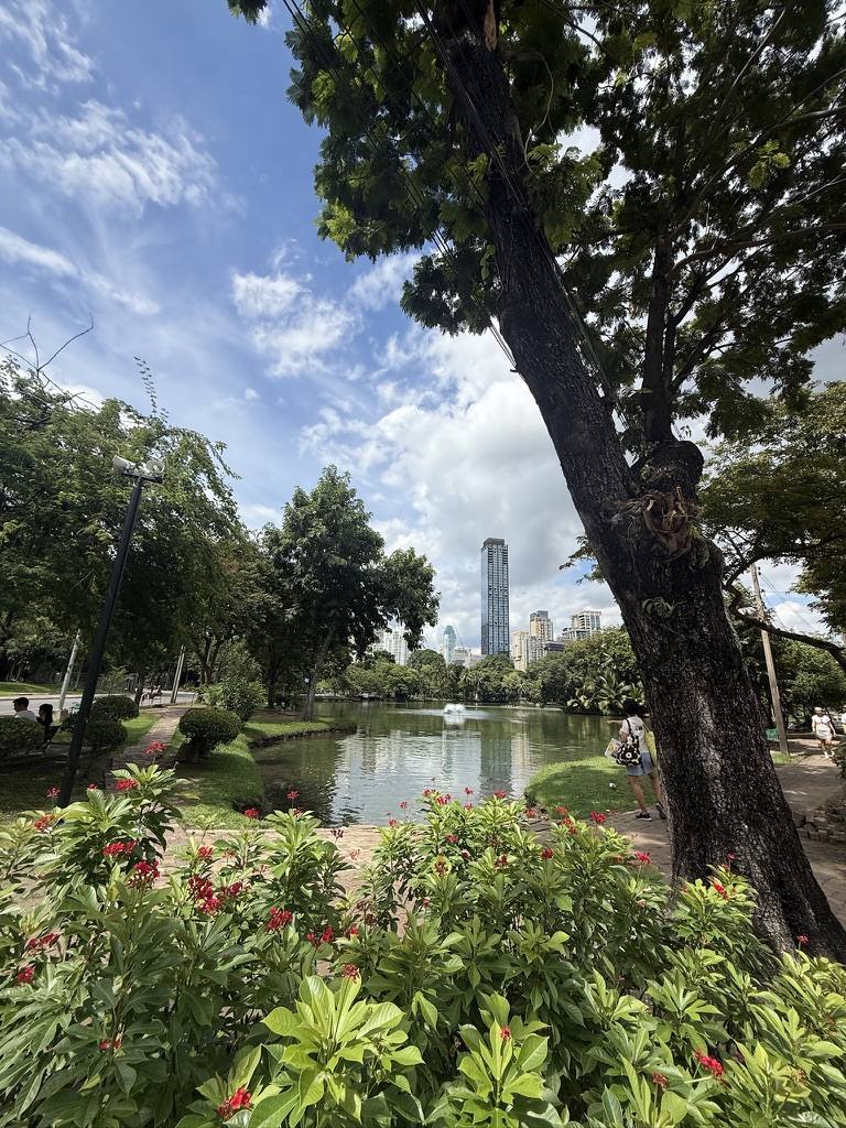 Lumphini Park in the late afternoon