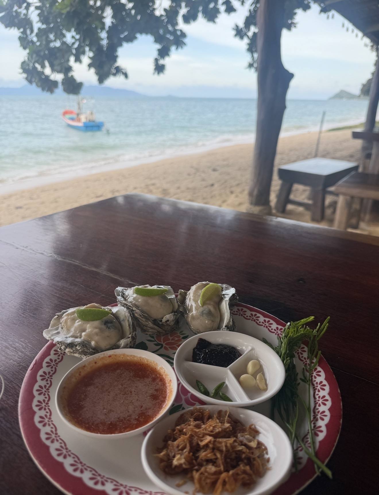 Oysters on the beach